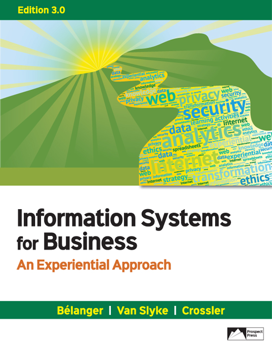 Information Systems for Business: An Experiential Approach