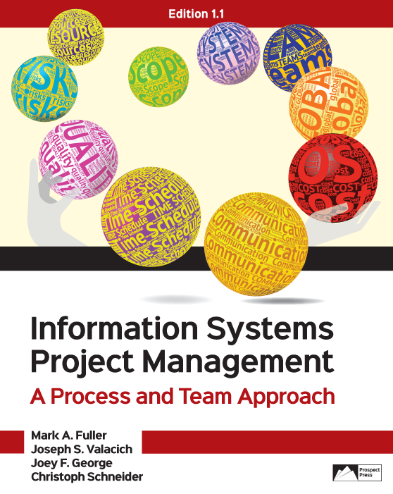 Information Systems Project Management: A Process and Team Approach